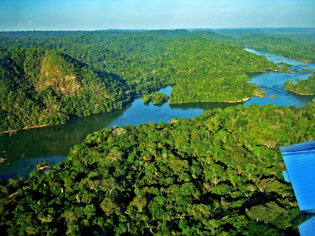 A Beleza Única de Manaus e da Floresta Amazônica
